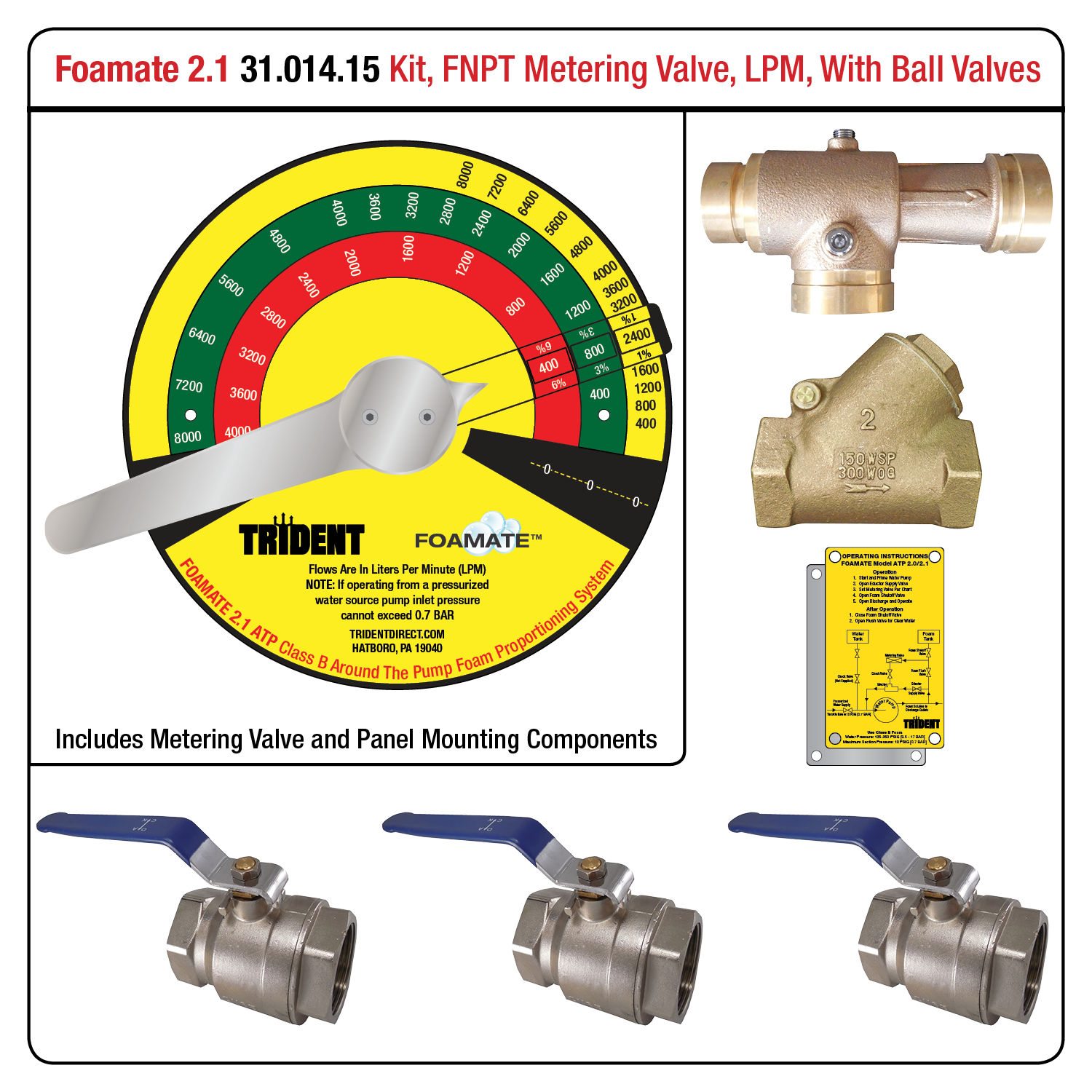 Foamate 2.1 ATP System, Metering Valve with FNPT Ends, LPM Flow Rates, w/ Ball Valves